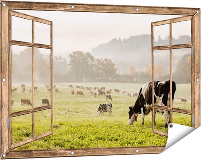 Gards Tuinposter Doorkijk Zwart Witte Koeien in de Wei - 120x80 cm - Tuindoek - Tuindecoratie - Wanddecoratie buiten - Tuinschilderij