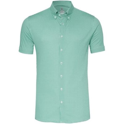 Desoto Overhemd Essential Vichy Check Button-Down Groen / male