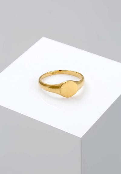 Elli Ring zegelring royal mat geo basic trend 925 zilver verguld