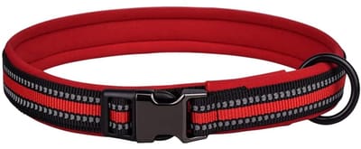 Allecto - Reflecterende nylon halsband - Veiligheidsgesp - Verstelbaar - Rood - Zachte neopreen vulling - Geschikt voor honden - L fit hals 50-65cm
