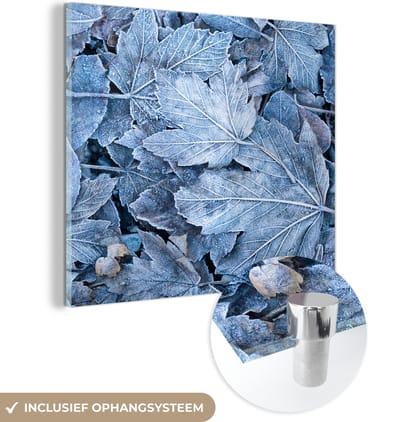 MuchoWow® Glasschilderij 90x90 cm - Schilderij acrylglas - Winter - Bladeren - IJs - Seizoenen - Foto op glas - Schilderijen