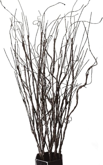 10 stuks kunstmatige takken, decoratieve droge twijgen, 90 cm nep groen planten indoor outdoor vintage wijnstokken/stengels voor thuis, tuin, hotel, kantoor, feest, keukendecoraties