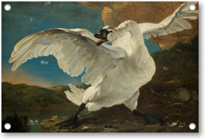 De bedreigde zwaan, Jan Asselijn, ca. 1650 - Tuinposter 90x60 - Wanddecoratie - Jan Asselijn - Meesterwerken - Dieren
