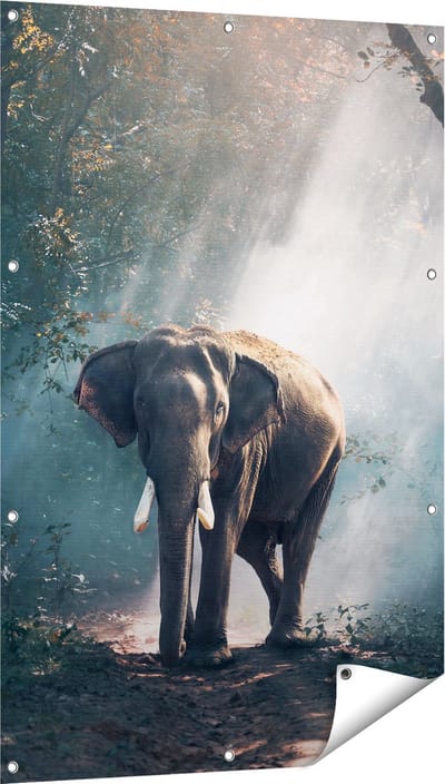Gards Tuinposter Olifant in het Bos met Zonneschijn - 80x120 cm - Tuindoek - Tuindecoratie - Wanddecoratie buiten - Tuinschilderij