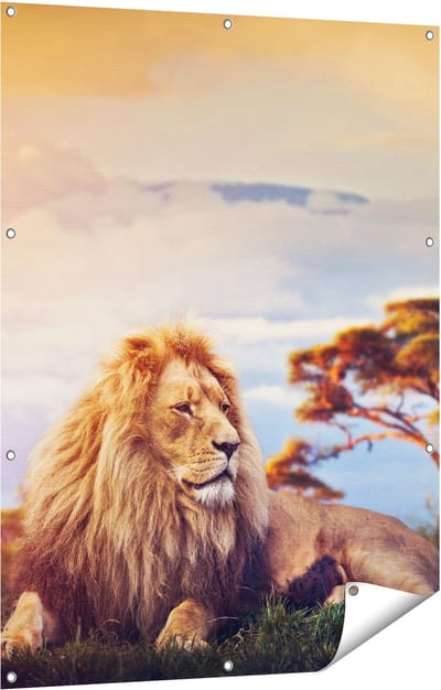 Gards Tuinposter Leeuw tijdens Zonsondergang - 90x120 cm - Tuindoek - Tuindecoratie - Wanddecoratie buiten - Tuinschilderij