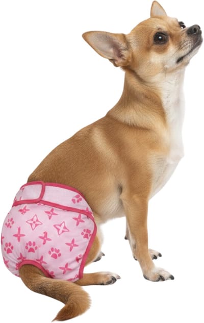 Loopsheidbroekje hond - Monogram roze - XS - Hondenbroekje - Hondenluier - Machinewasbaar