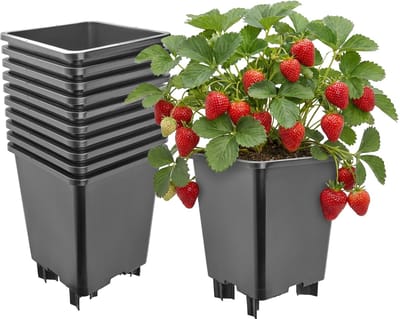 Garronda Set van 10 kunststof bloempotten met poten voor aardbeien en frambozen (Zwart, 21 x 21 x 26,5 cm – 7 L) GD-KW-F