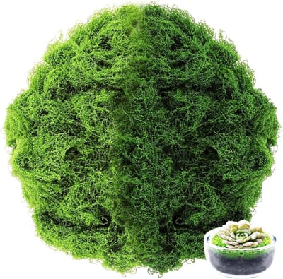 Decoratieve Kunstmos van 300g voor Creatieve Projecten, Wanddecoratie en Modelbouw Planten