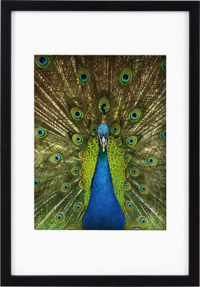 Goldbuch - Fotolijst Pino - Zwart - 15x20 cm (20x30 cm)