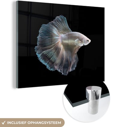 MuchoWow® Glasschilderij 160x120 cm - Schilderij acrylglas - Vis - Staart - Wit - Foto op glas - Schilderijen
