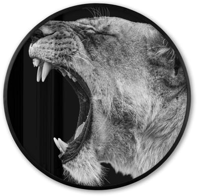 Poster in lijst Rond - Fotolijst 60x60 cm - Posters - Dieren - Leeuw - Zwart - Wit - Portret - Ronde posterlijst zwart - Decoratie - Wanddecoratie woonkamer - Muurdecoratie slaapkamer