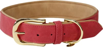 Kentucky Dogwear - Hondenhalsband - Gevlochten Nylon Hondenriem - Lichtblauw - Maat L (62cm)