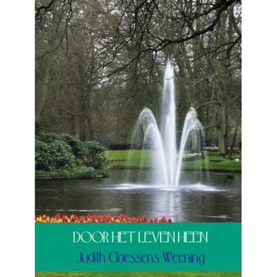 Door Het Leven Heen - Judith Claessens Weening
