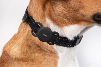 Laut - PET TAG - AirTag dierenband - zwart