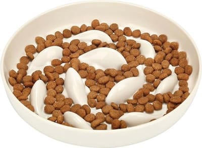 Slow Feeder Kattenvoerbak met Verhoogde Rand voor Gezond Eten
