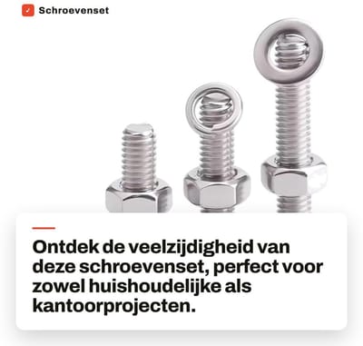 Dailygoods- Schroevenset Roestvrij Staal - Inbusschroeven - Zeskantmoeren - Veerringen - Sluitringen - 20 Stuks - Schroeven