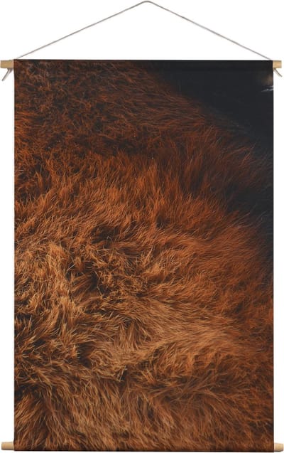 Rode panda vacht | Dieren | Textieldoek | Textielposter | Wanddecoratie | 90CM x 135CM” | Schilderij