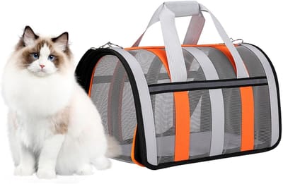 Opvouwbare Dierentas - Draagbare Drager - Reizen Met Huisdier - Meerdere Gaaspanelen - 52 x 35 x 4 cm