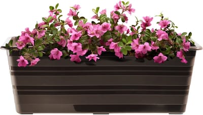 KADAX Set 6 x 40 cm bloembak bruin, balkonpot van kunststof, weerbestendige plantenbak, bloempot, balustrade voor bloemen