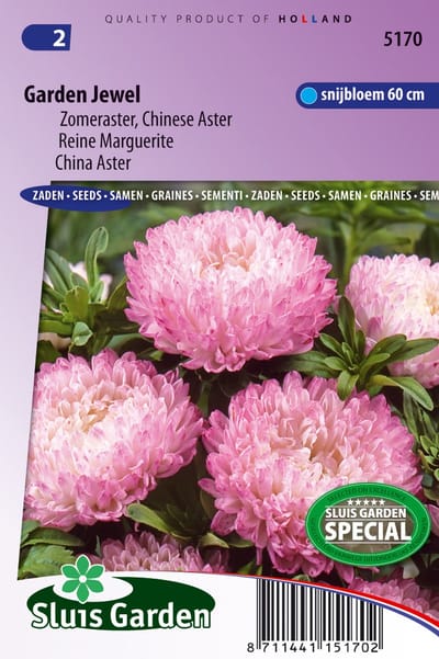 Sluis Garden - Aster Garden Jewel Rose (Zomeraster)