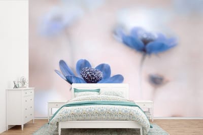 Behang - Fotobehang Cosmos - Bloemen - Natuur - Blauw - Breedte 360 cm x hoogte 240 cm