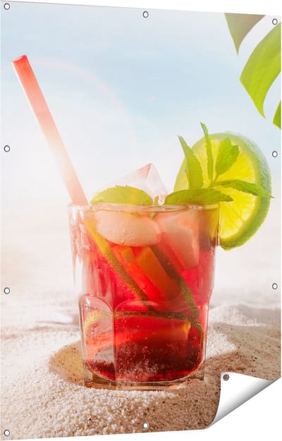 Gards Tuinposter Cocktail Mix Drankje op het Strand - 90x120 cm - Tuindoek - Tuindecoratie - Wanddecoratie buiten - Tuinschilderij