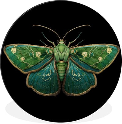 WallCircle - Wandcirkel - Muurcirkel - Mot - Levendig - Groen - Aluminium - Dibond - 30x30 cm - Binnen en Buiten
