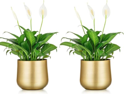 Set van 2 Decoratieve Plantenpotten voor Binnen en Buiten - Met Drainage Gat voor Bloemen en Planten - Perfect voor Bruiloften, Feesten en Dagelijks Gebruik