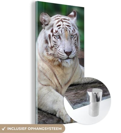 MuchoWow® Glasschilderij 20x40 cm - Schilderij acrylglas - Witte tijger - Boomstam - Bos - Foto op glas - Schilderijen