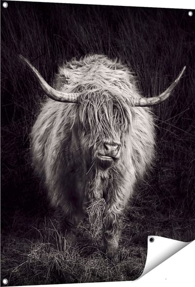 Gards Tuinposter Schotse Hooglander Koe - Zwart Wit - 80x100 cm - Tuindoek - Tuindecoratie - Wanddecoratie buiten - Tuinschilderij