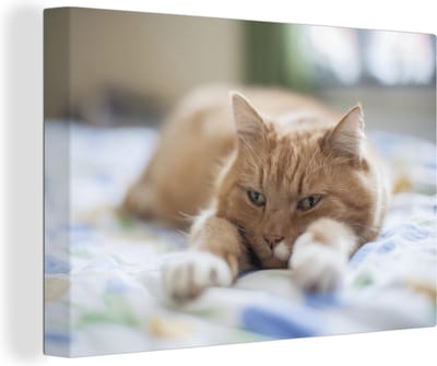 Canvas Schilderij Kat - Bed - Bedsprei - Meisjes - Kinderen - Jongens - Kind - 30x20 cm - Wanddecoratie