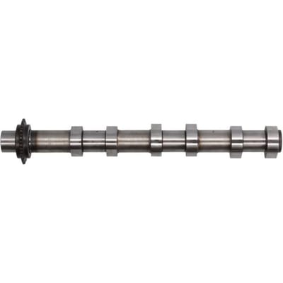 Nokkenas  AE CAM984