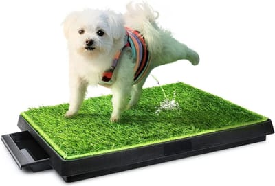 Indoor Puppy Training Pad - Hond Potty Training Mat - Verwijderbare Afvalbak voor Eenvoudiger Opruimen - Niet-giftig Kunstgras - 63 cm x 51 cm