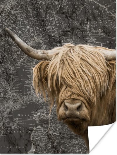 Wereldkaarten - Schotse hooglander - Wereldkaart - Dieren - 60x80 cm