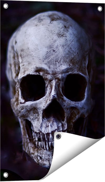 Gards Tuinposter Schedel - Doodshoofd - 40x60 cm - Tuindoek - Tuindecoratie - Wanddecoratie buiten - Tuinschilderij