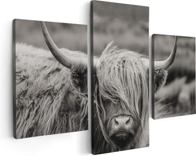 Artaza Canvas Schilderij Drieluik Schotse Hooglander Koe - Zwart Wit - 90x60 - Foto Op Canvas - Canvas Print