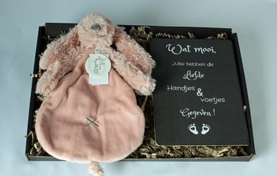 Brievenbus cadeau Rabbit Richie - Happy Horse - Knuffel - Geboorte - Zwangerschap - Kraamcadeau