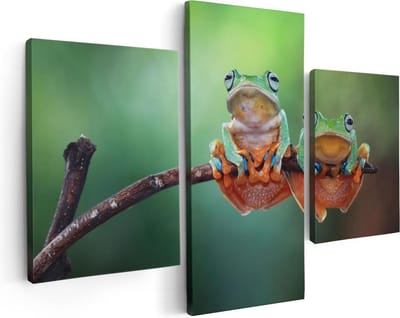 Artaza Canvas Schilderij Drieluik Twee Boomkikkers op een Tak - 90x60 - Foto Op Canvas - Canvas Print