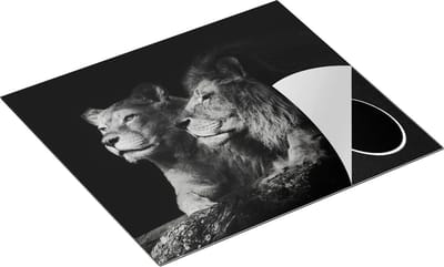 Chefcare Inductie Beschermer Leeuw en Leeuwin - Zwart Wit - 60x50 cm - Afdekplaat Inductie - Kookplaat Beschermer - Inductie Mat