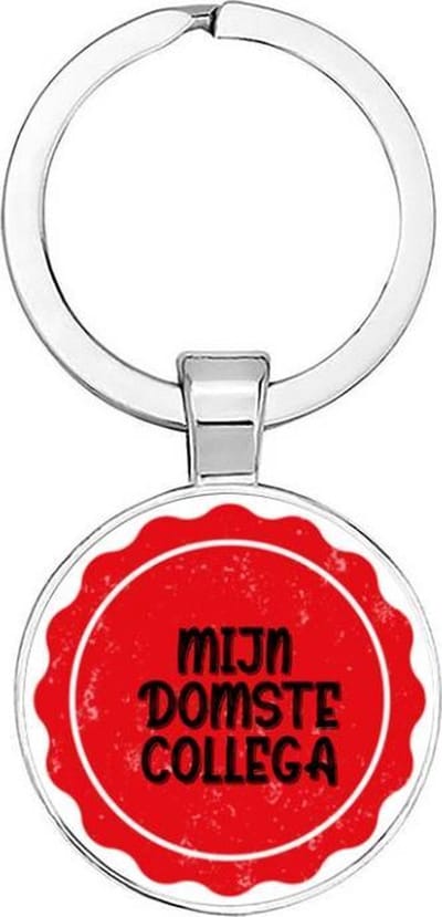 Akyol - Mijn domste collega Sleutelhanger - Collega - Partner - Werk - Leuk kado voor je collega om te geven - 2,5 x 2,5 CM