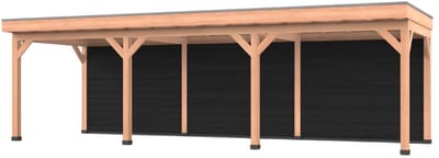 Douglas overkapping, 900 x 300, met zwarte achterwand, Westwood Comfort Premium