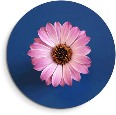 KitchenArt - Pastel Margriet – Muurcirkel Binnen - ø 40 cm - Wandcirkel - Mét Ophangsysteem - Wanddecoratie - Muurdecoratie