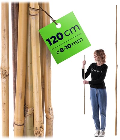 KADAX bamboestok 120 cm x 10 mm, 1 stuk, plantenstok van bamboe als klimsteun voor tomatenplanten en klimplanten, plantenstok voor tuin en kas