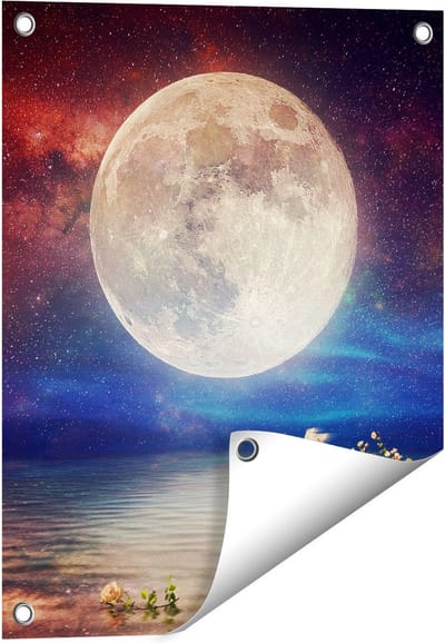 Gards Tuinposter Volle Maan in de Hemel boven het Water - 40x50 cm - Tuindoek - Tuindecoratie - Wanddecoratie buiten - Tuinschilderij