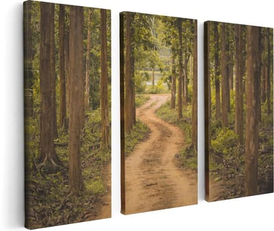 Artaza Canvas Schilderij Drieluik Pad In Het Bos Met Bomen - 120x80 cm - Wanddecoratie Woonkamer - Schilderijen - Muurdecoratie