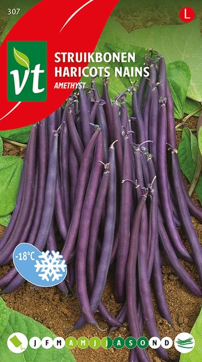 Bonen Amethyst - Middelfijne, paarse boontjes met unieke kleur