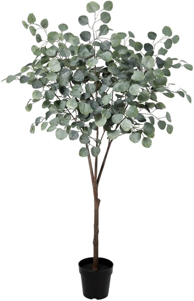 Florafy Kunstplant Eucalyptus 150cm - Kunstplanten voor binnen - Onderhoudsvrij