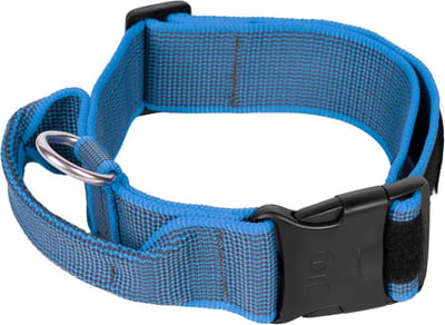 Halsband met Handvat, Veiligheidsslot en Verwisselbare Labels voor Honden, 50 mm (49-70 cm), Blauw-Grijs