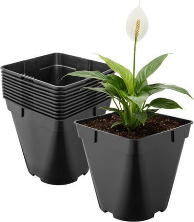 Garronda Set van 10 afgeronde vierkante kunststof kweekpotten met drainagegaten voor tuin (Zwart, 18 x 18 x 18 cm (4L)) GD-KW-SR