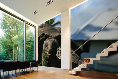 Fotobehang Seychellen DD100037 A.S. Création XXL World Trip | Fotobehang online webshop